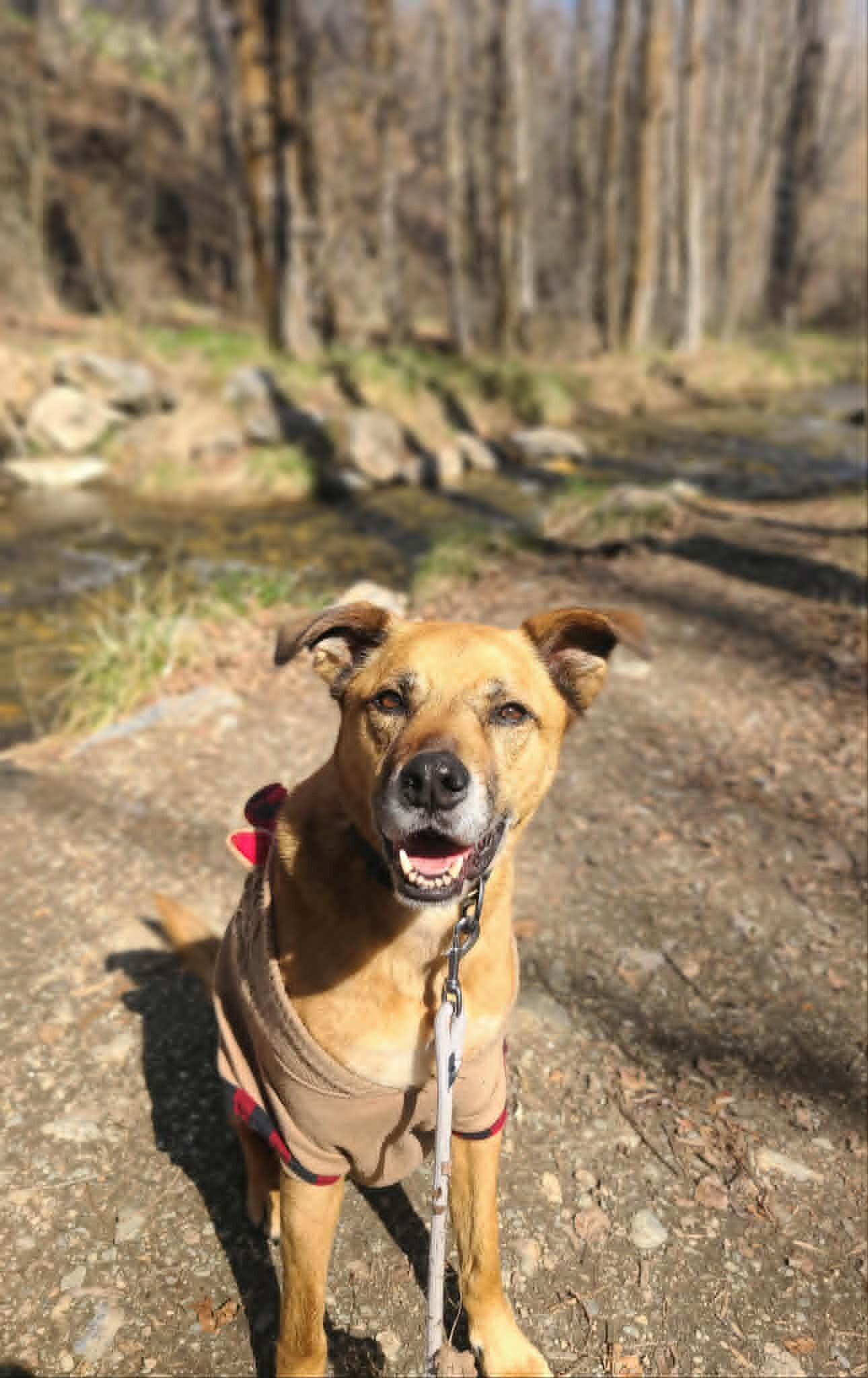 Little Man — thumbnail 4