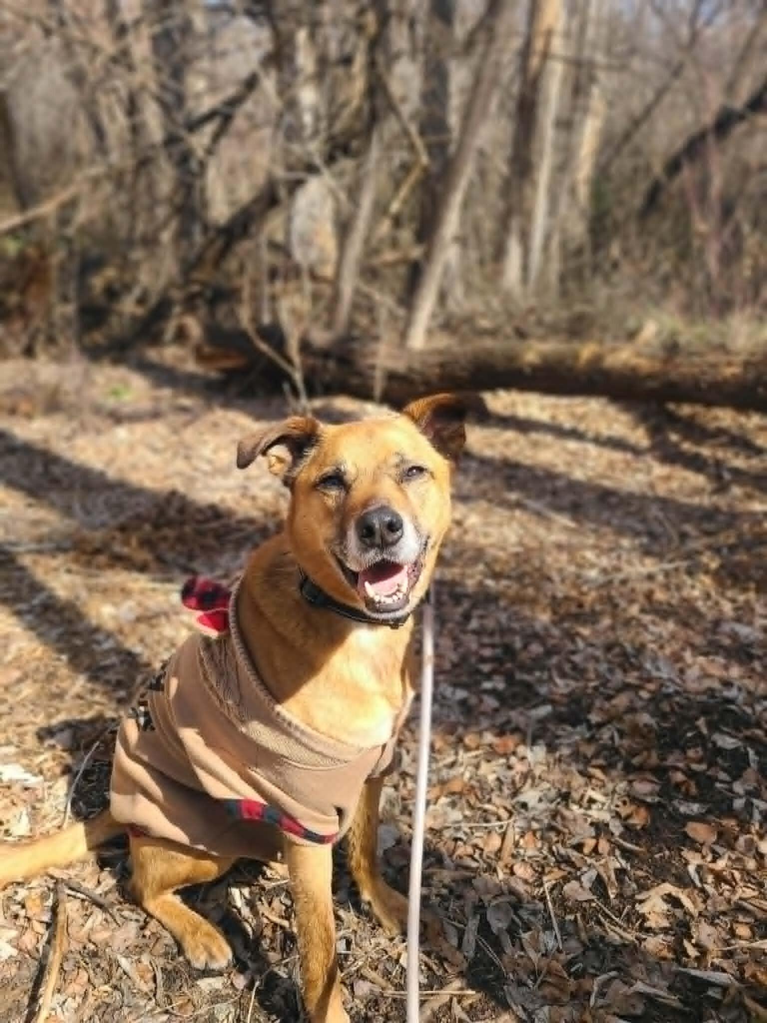 Little Man — thumbnail 5