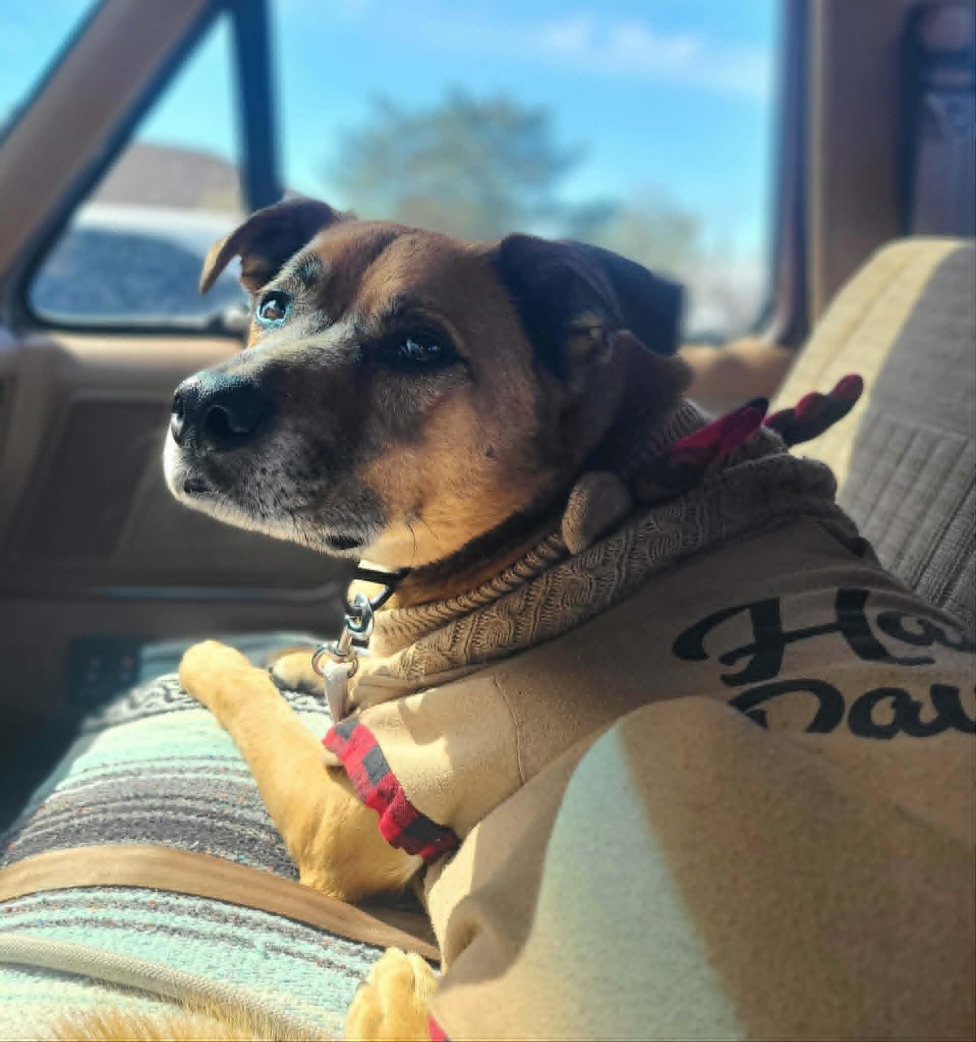 Little Man — thumbnail 6