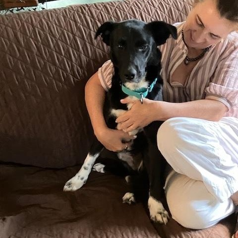 Enlarge Keiko, a Adoptable mixed breed in Manhasset, NY image 5/6