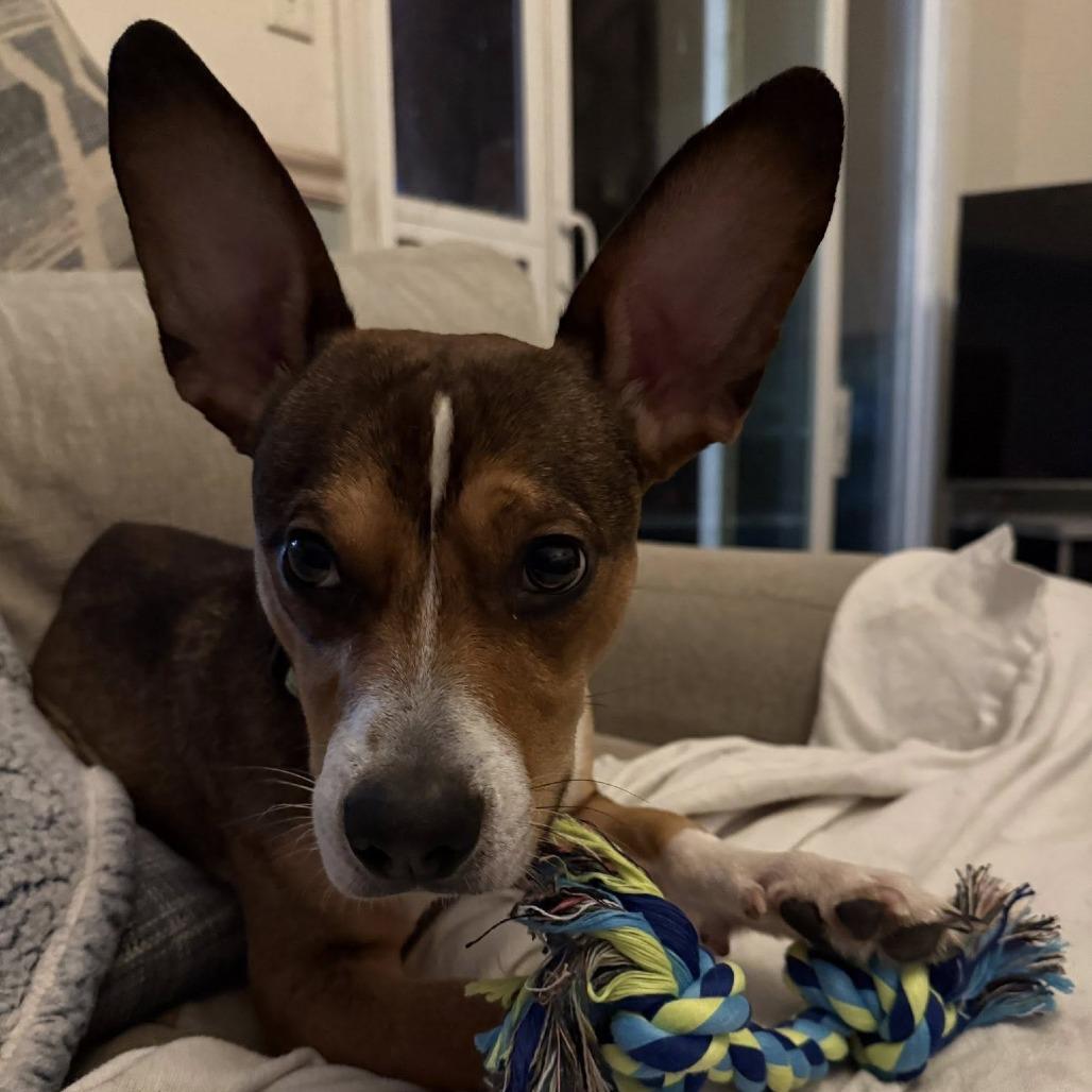 Satellite thumbnail 2