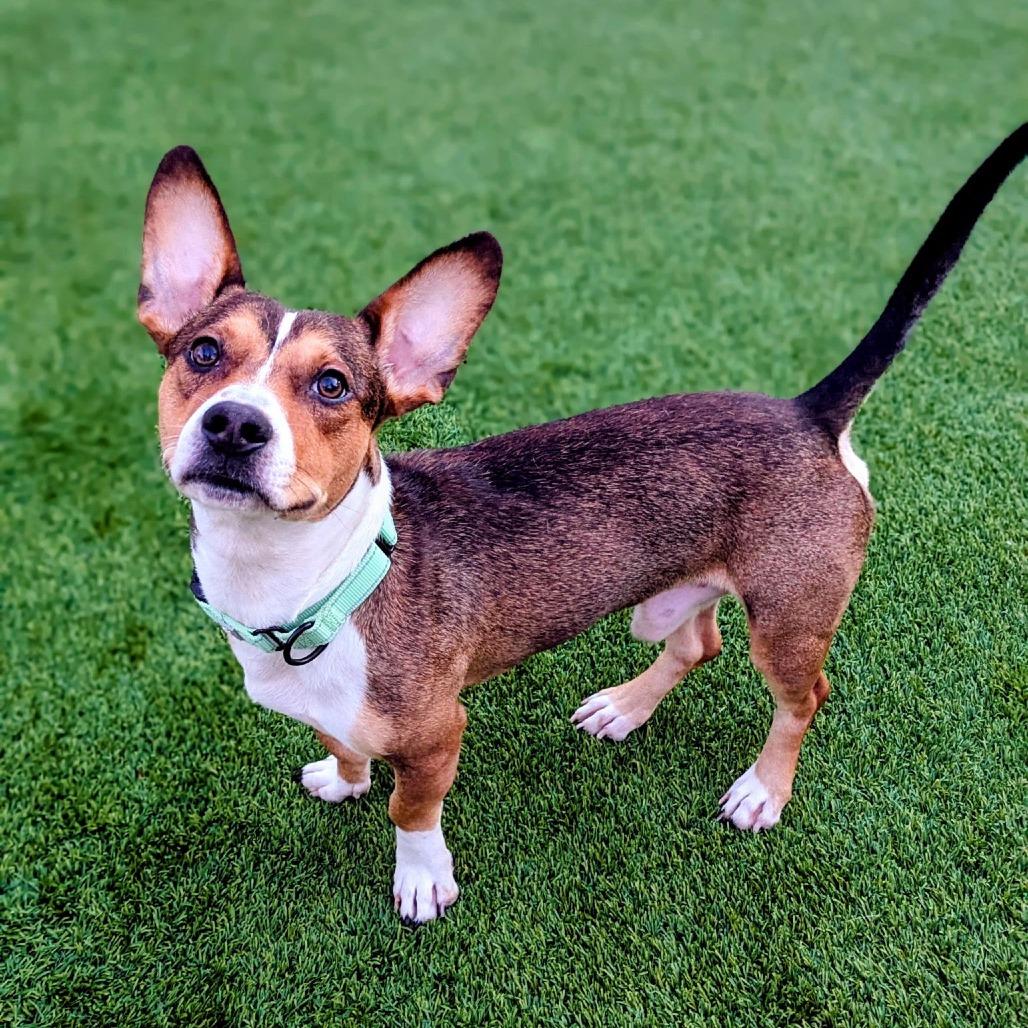 Satellite thumbnail 3