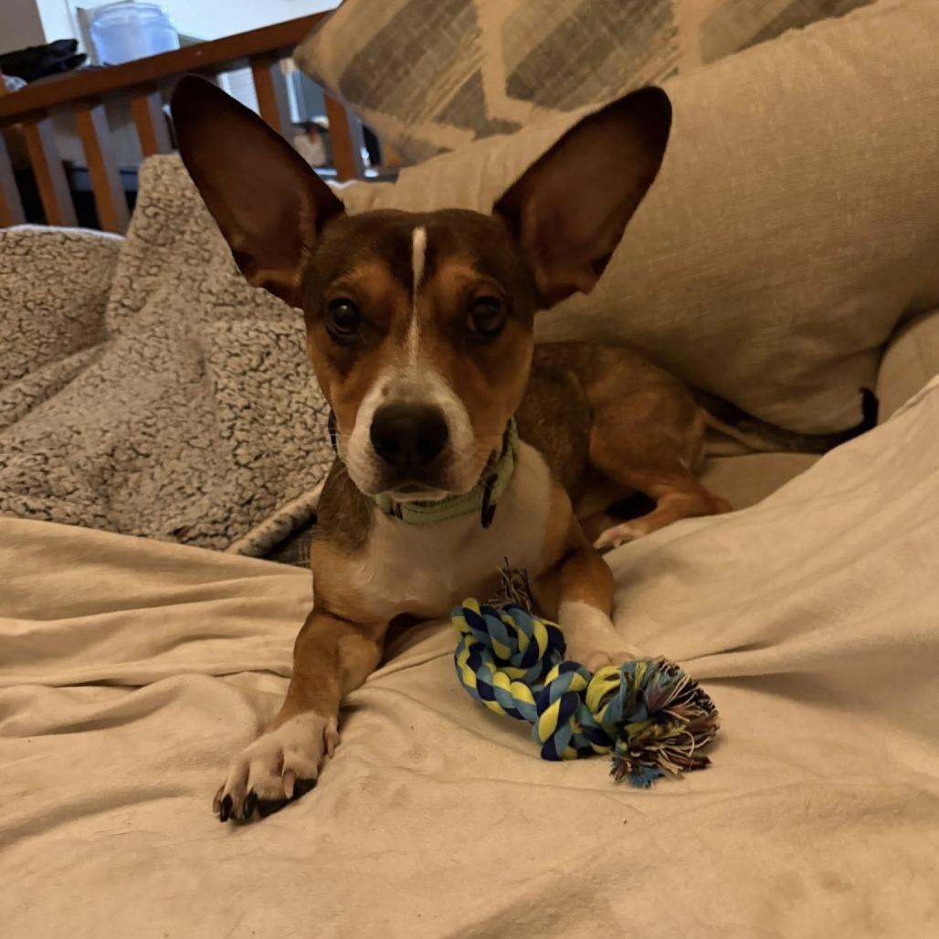 Satellite thumbnail 5