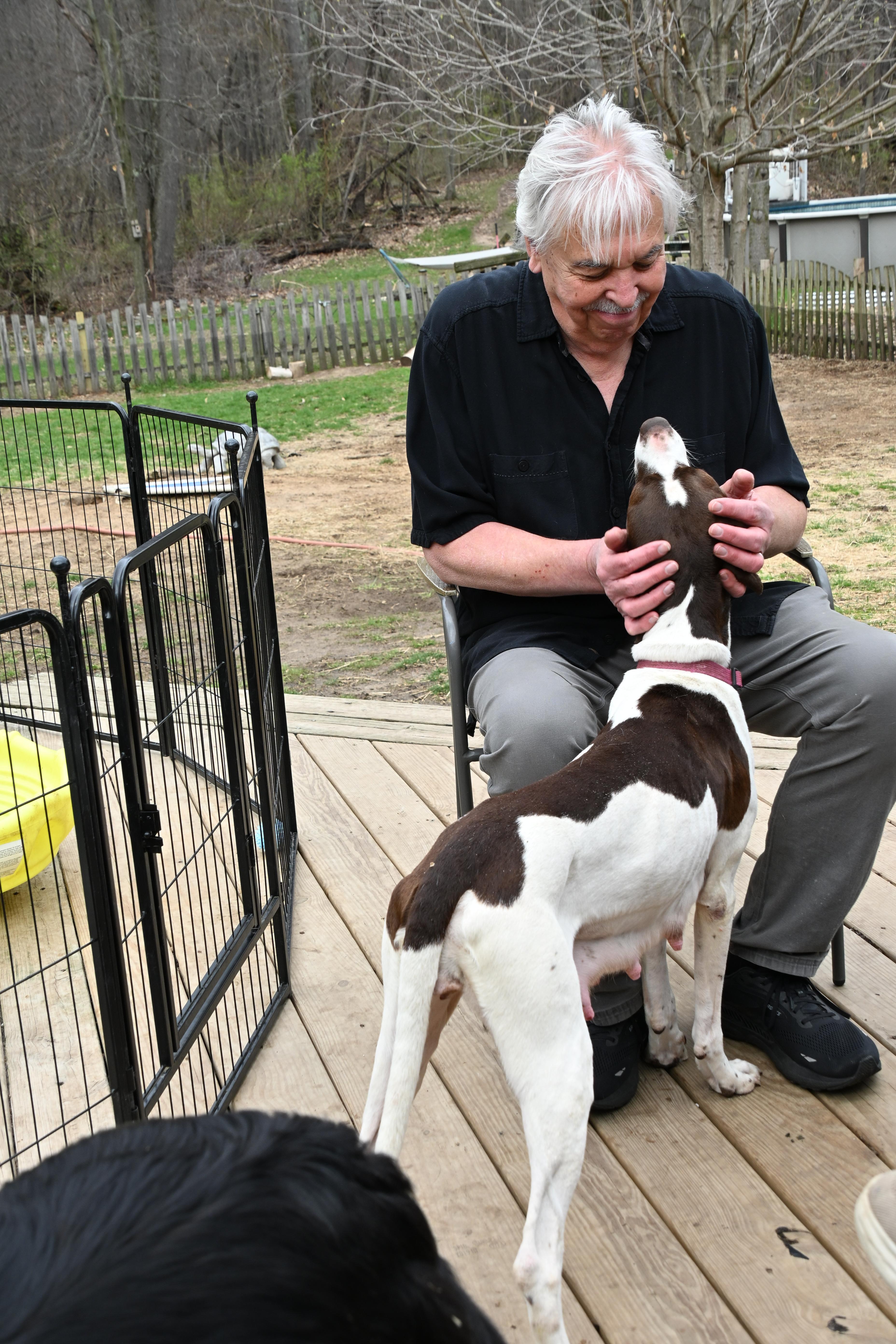 Enlarge Piper, a ADOPTABLE mixed breed in South Bend, IN image 6/6