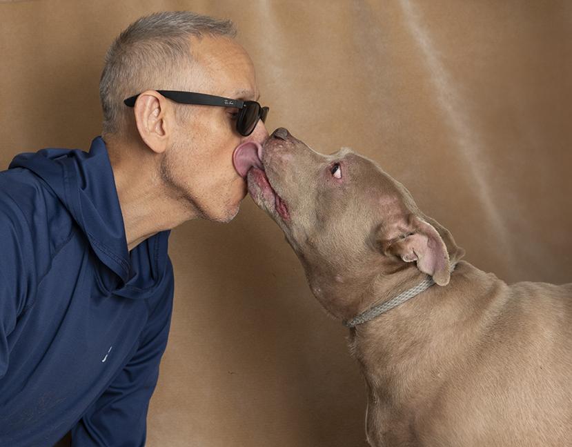 Bella and Sabrina, a ADOPTABLE Pit Bull Terrier in Chicago, IL image 2/3