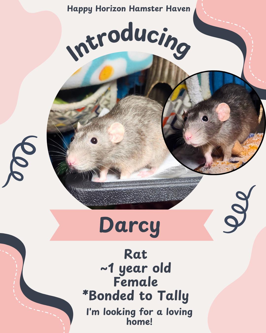 Darcy & Tally