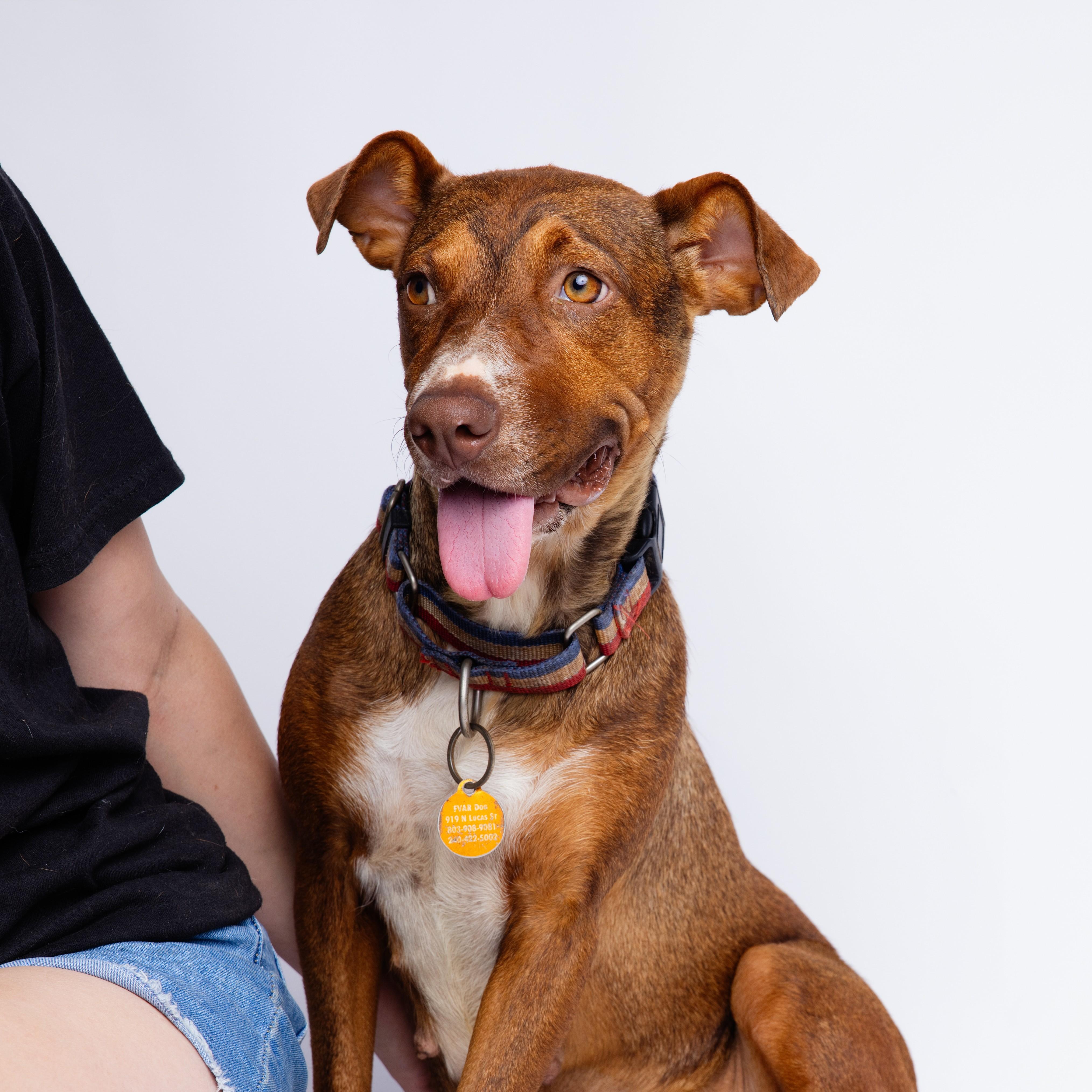 Tie Dye — thumbnail 4