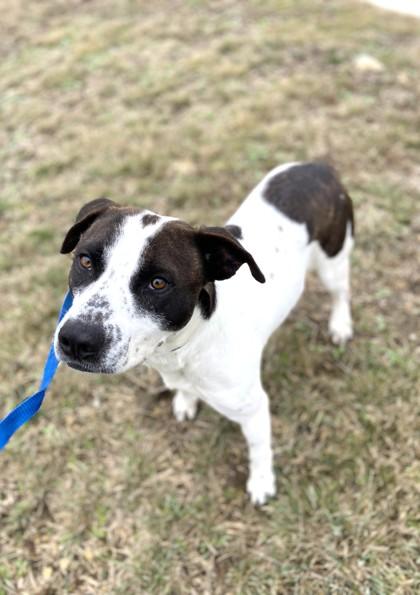 Hero — thumbnail 2