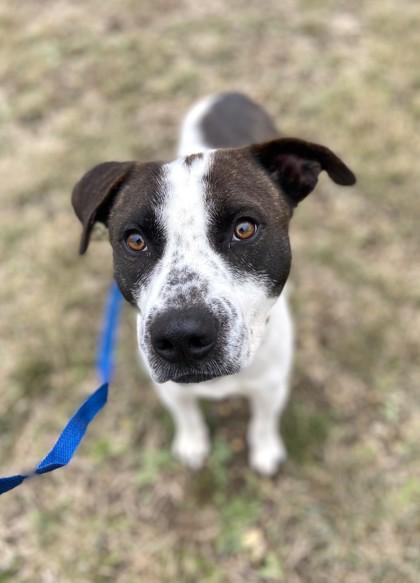 Hero — thumbnail 3