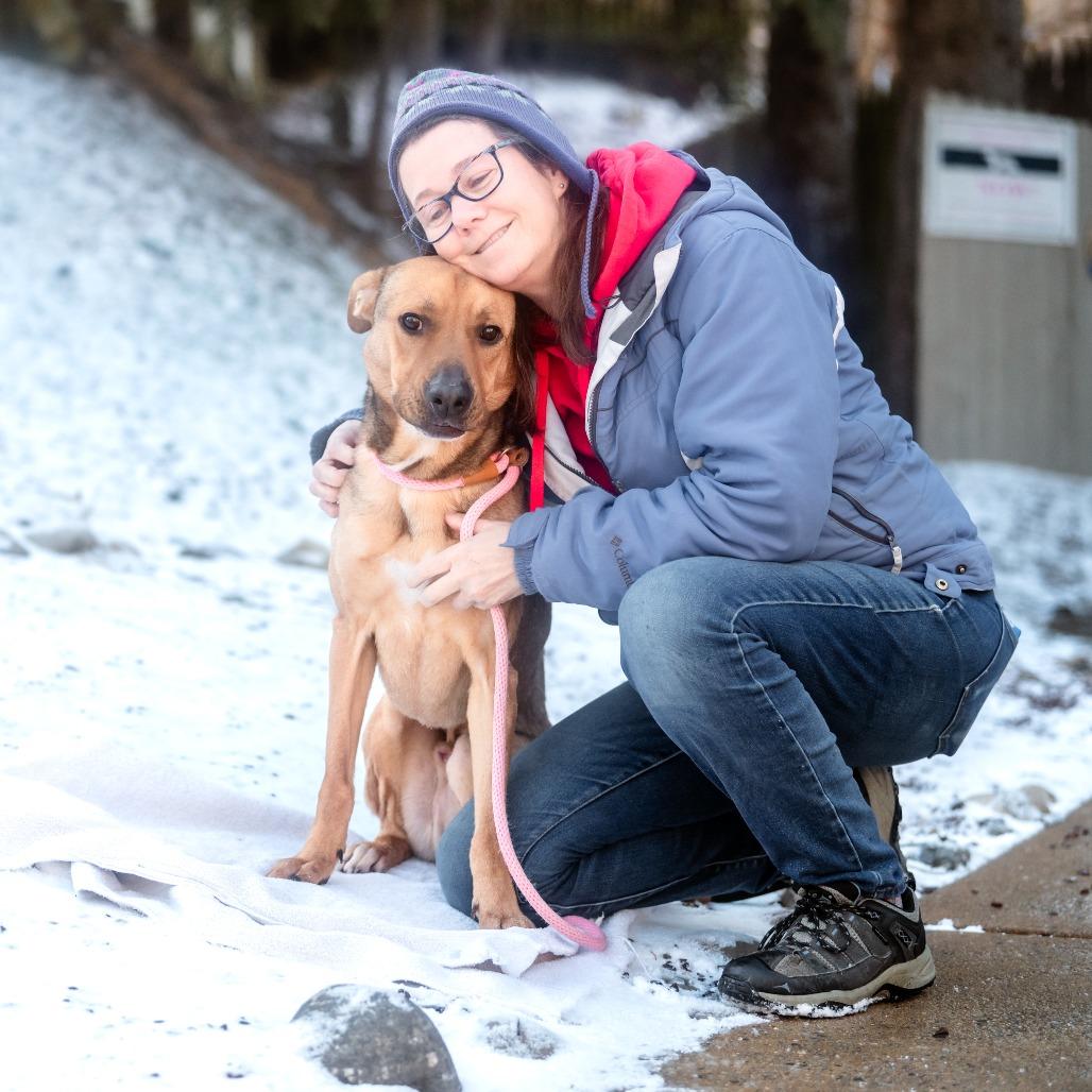 Enlarge Marty McFly, a Adoptable Mixed Breed in Chester Springs, PA image 3/6