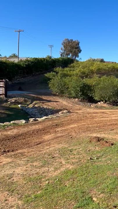 Enlarge Deni, a ADOPTABLE Doberman Pinscher in Los Angeles, CA video 6/6