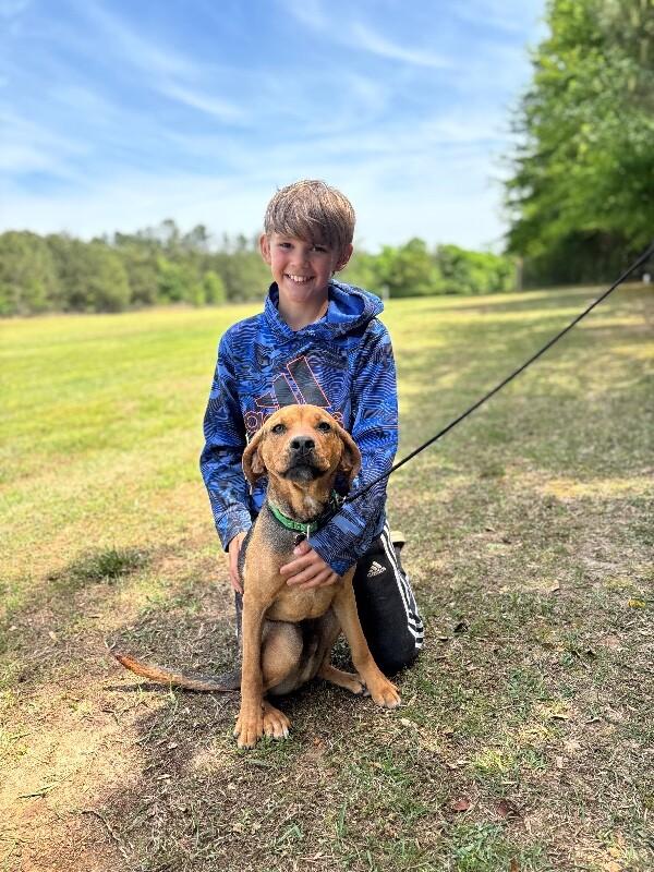 Enlarge Gunner, a Adoptable mixed breed in Berkeley Heights, NJ image 2/6