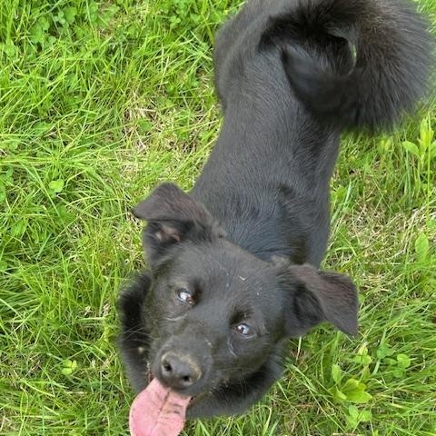 Phoebe photo 1