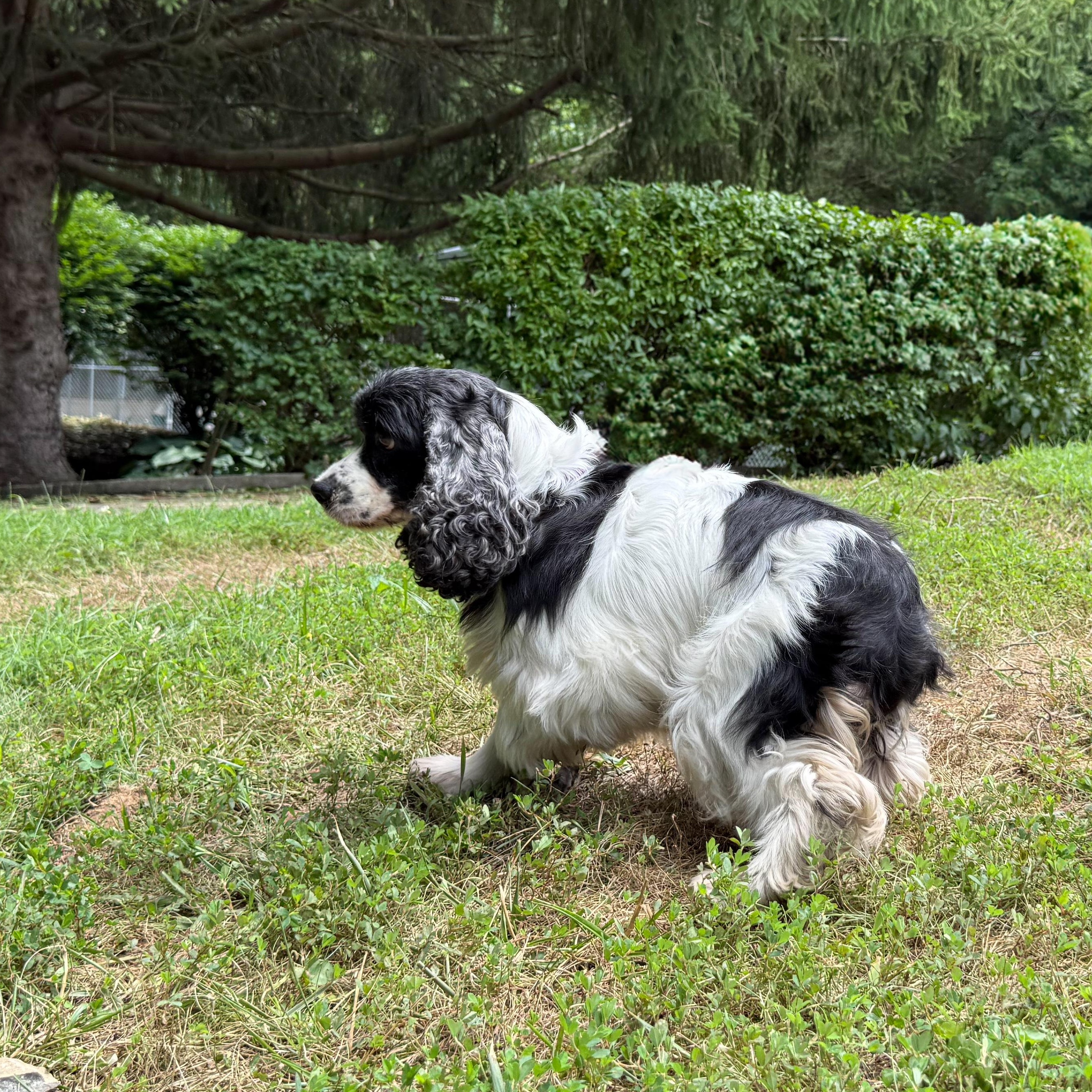 Molly photo 4