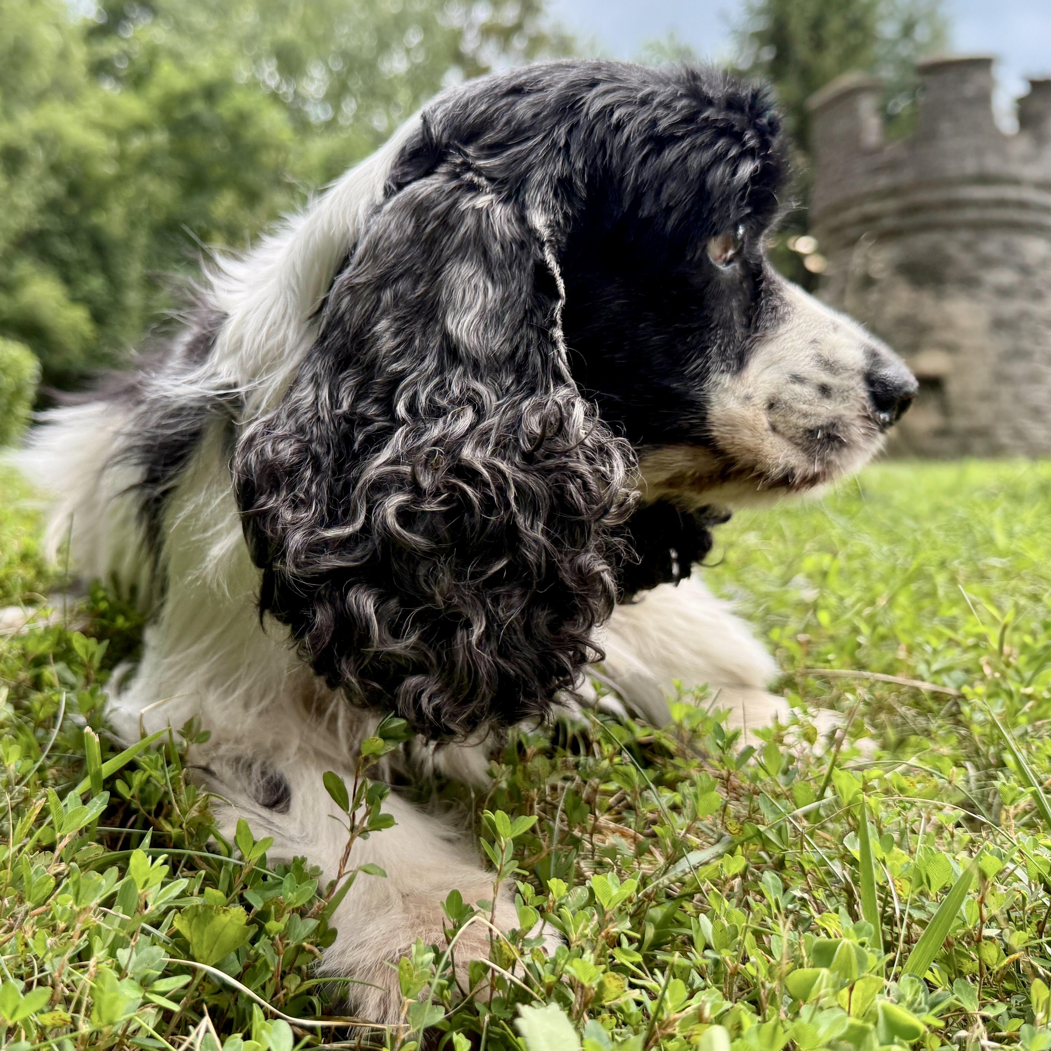 Molly photo 2