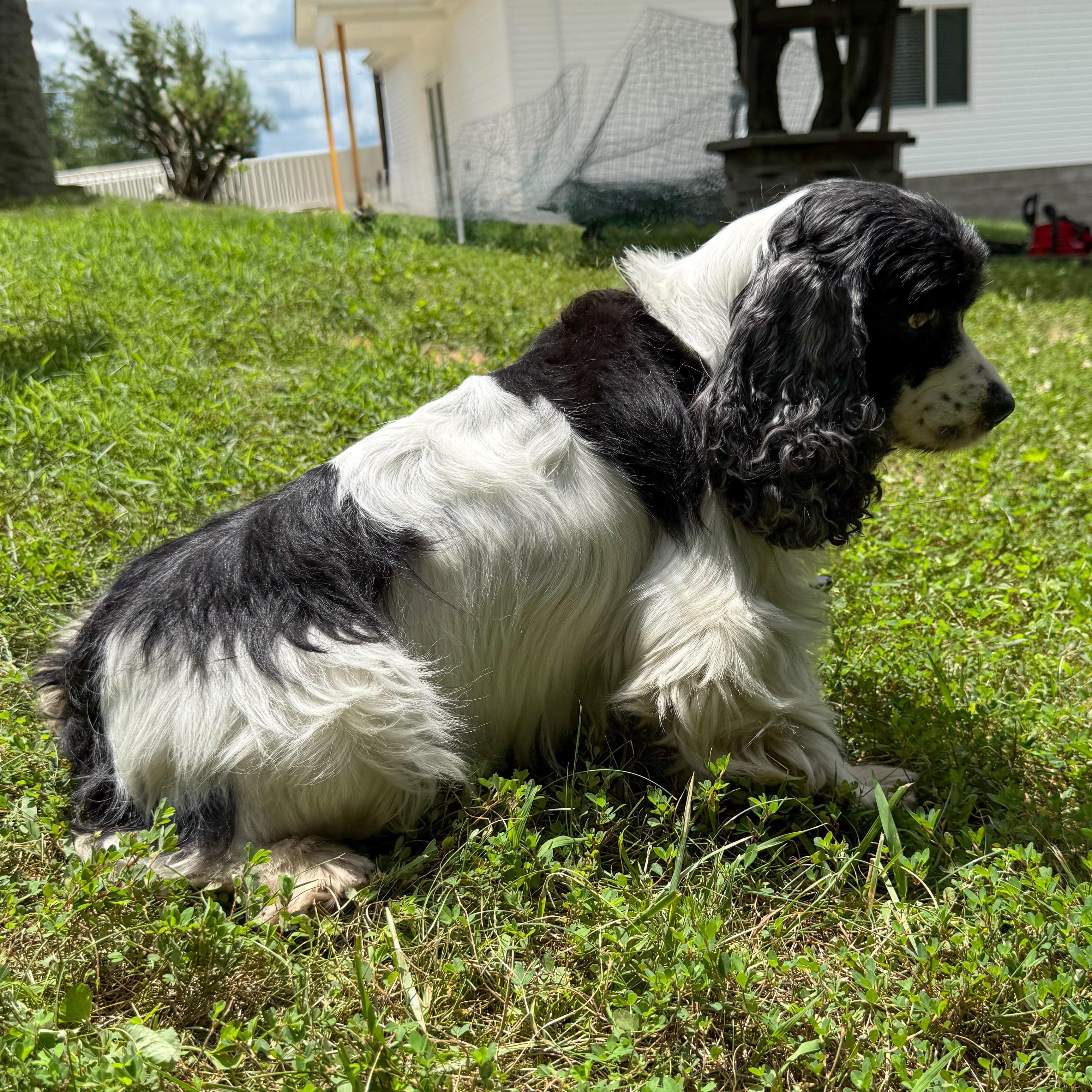 Molly photo 5