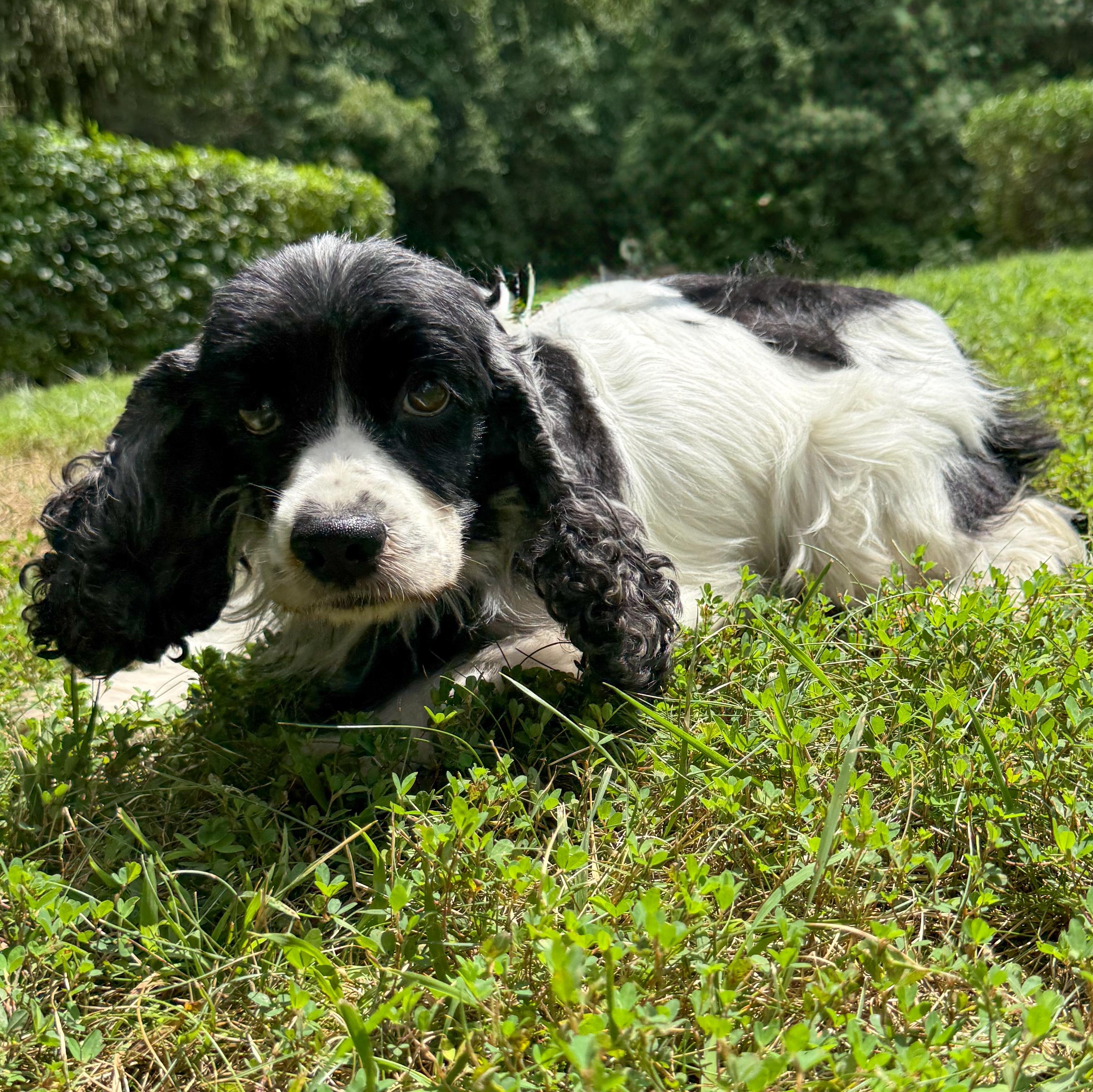 Molly photo 3