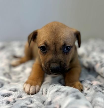 Christina — thumbnail 2