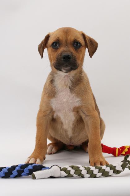 Christina — thumbnail 5