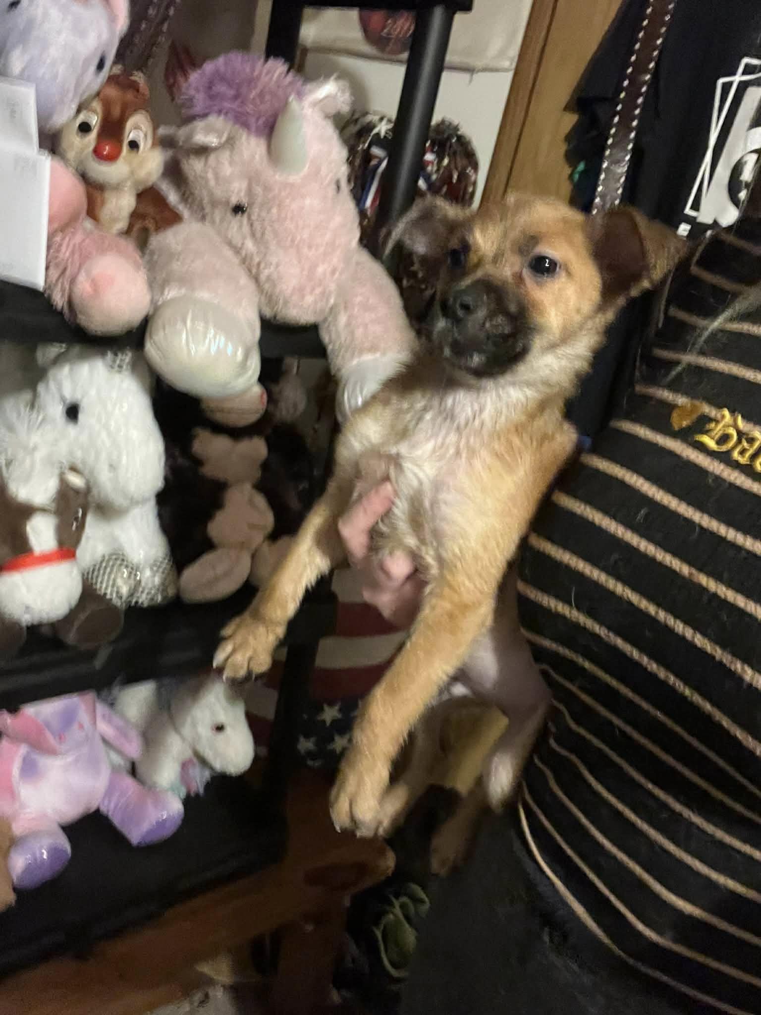 Woody (20260226-03) — thumbnail 2