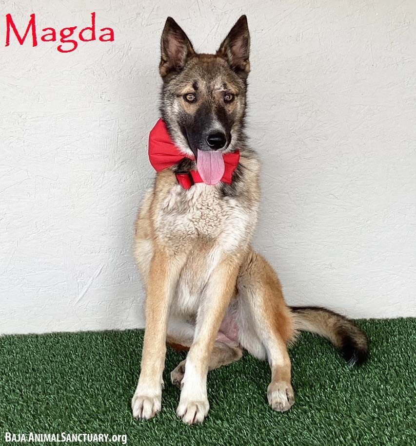 Magda