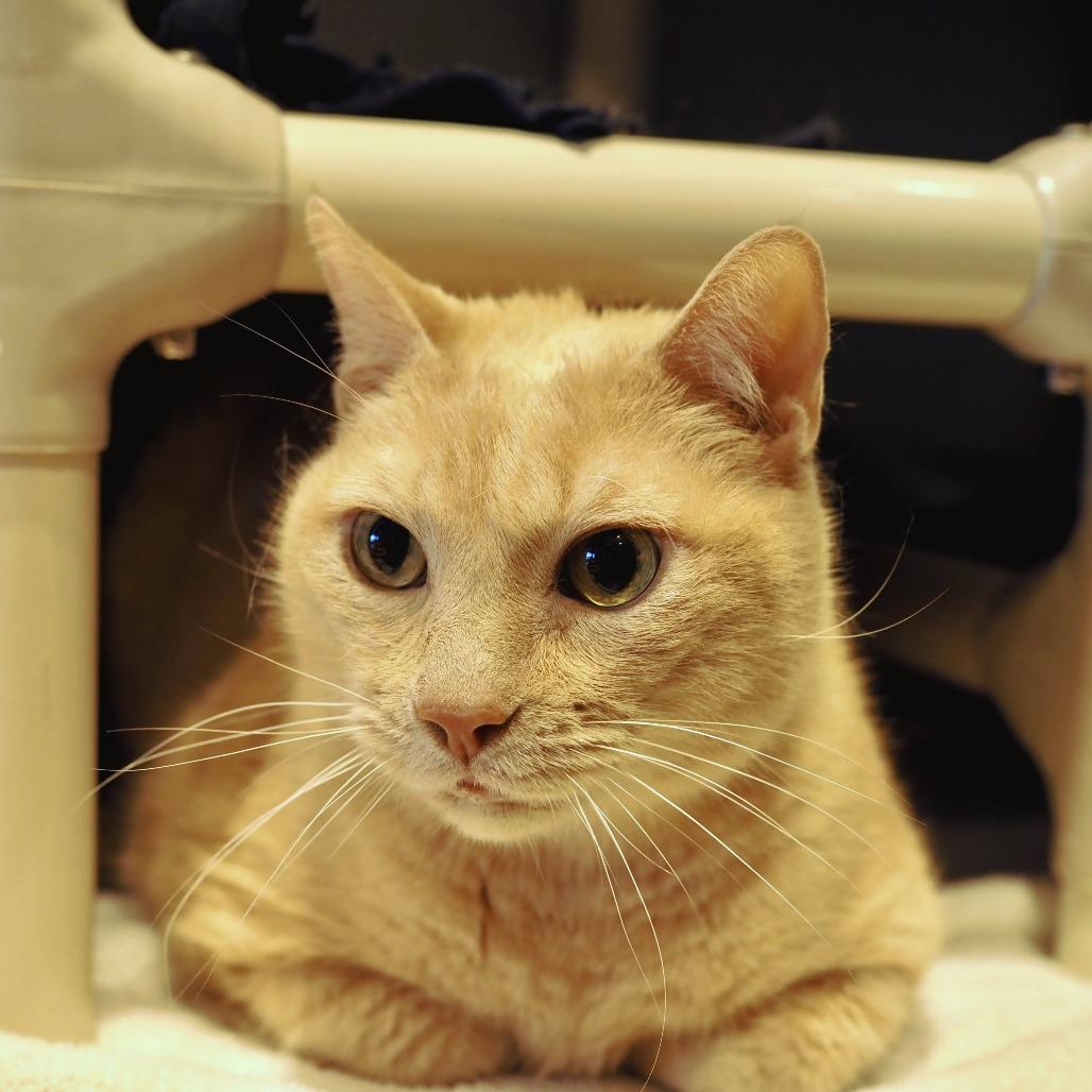 Senor Murphy — thumbnail 2