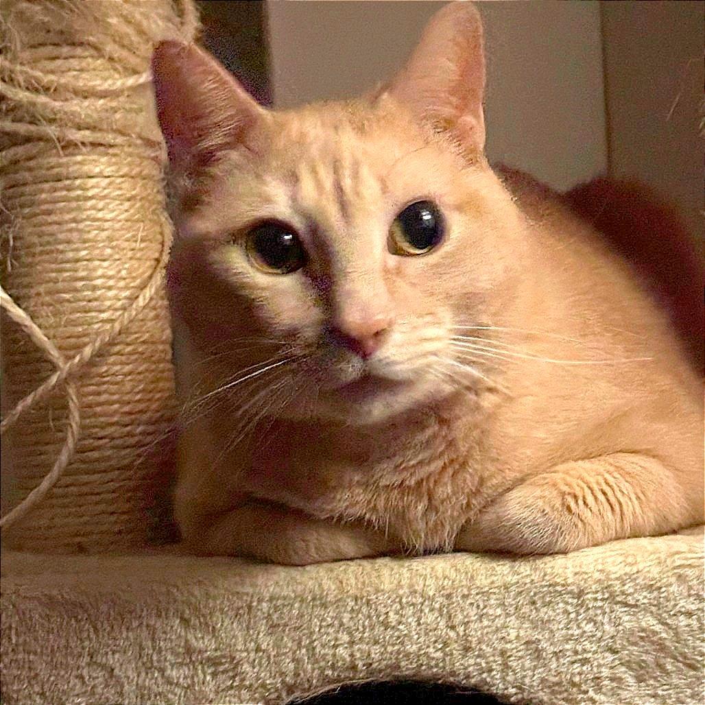 Senor Murphy — thumbnail 3