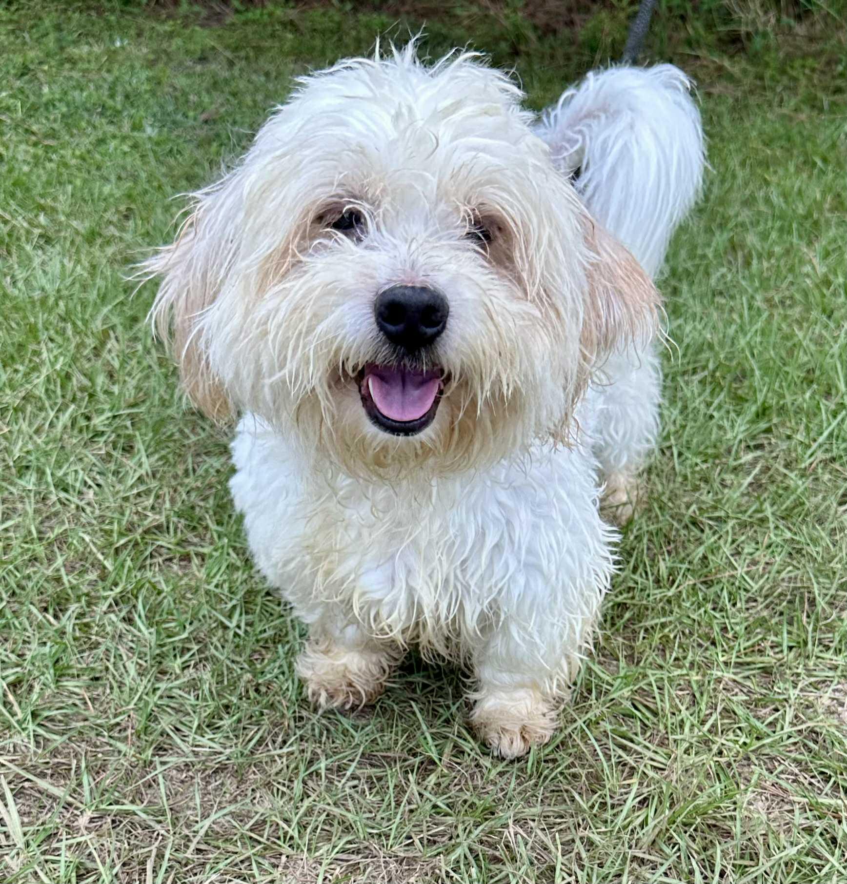 Ben