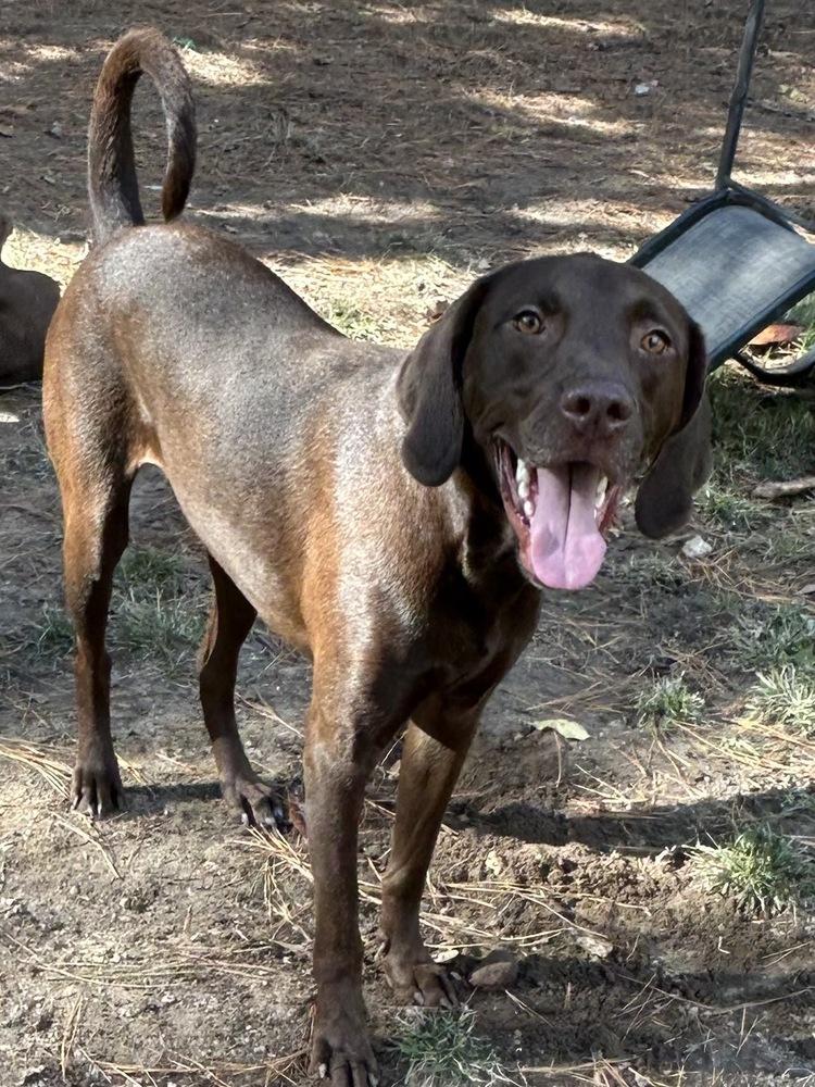 Buddy — thumbnail 2