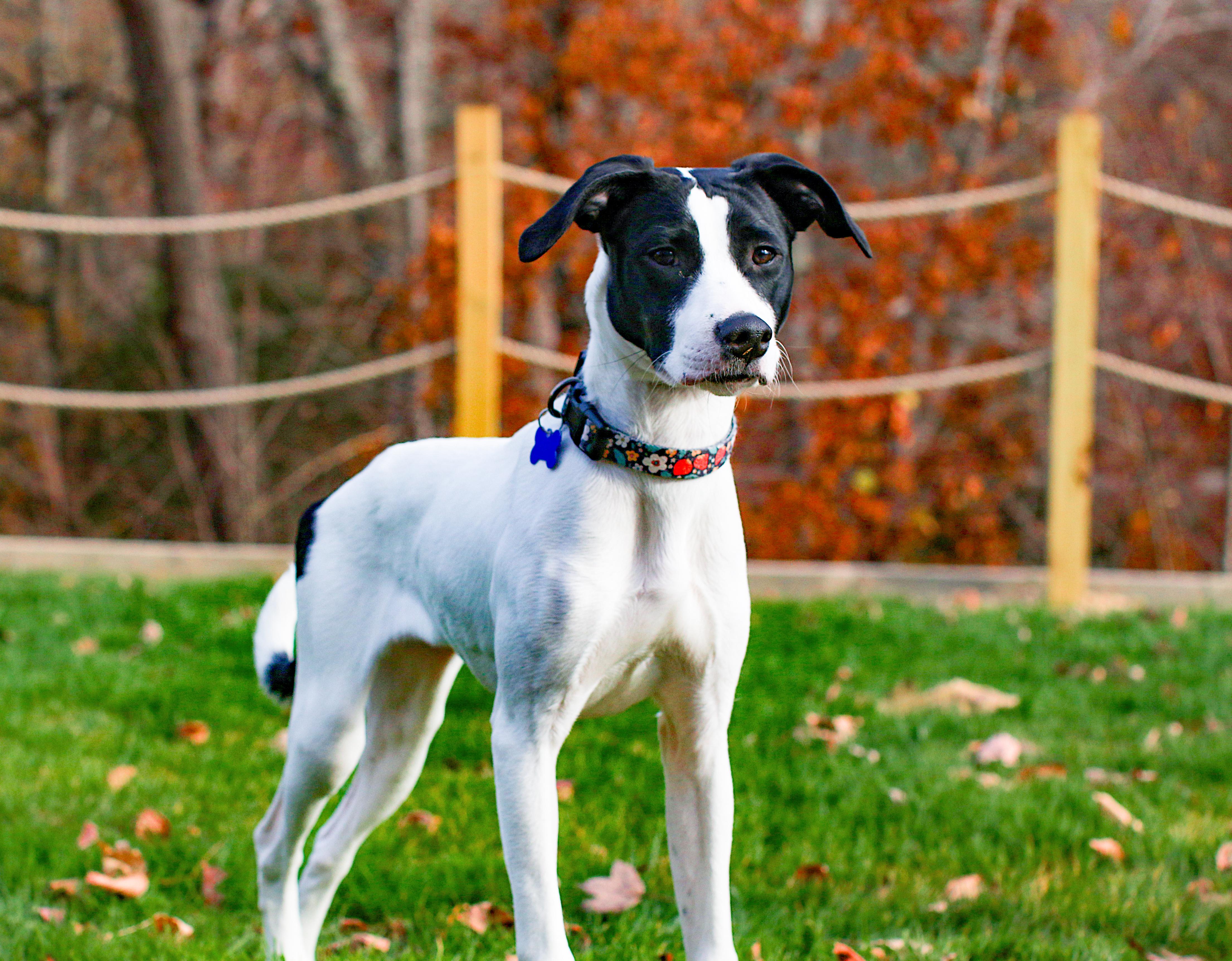 Snow White thumbnail 5