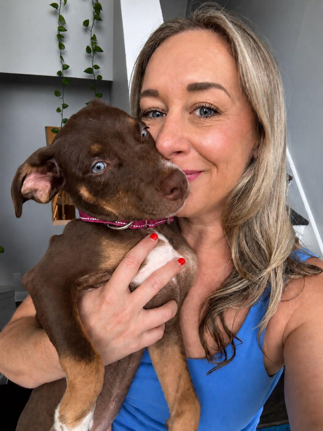 Enlarge Siren, an adopted mixed breed in Vancouver, WA image 5/5