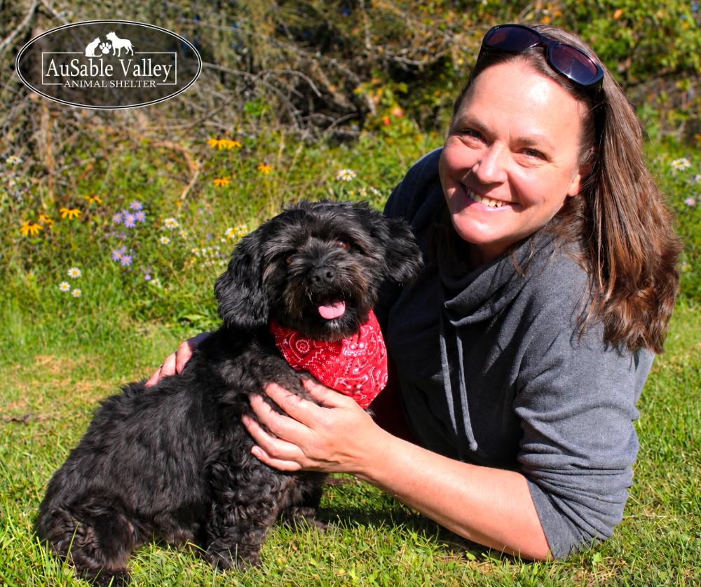 Enlarge Petey, a Adoptable Mixed Breed in Grayling, MI image 3/6