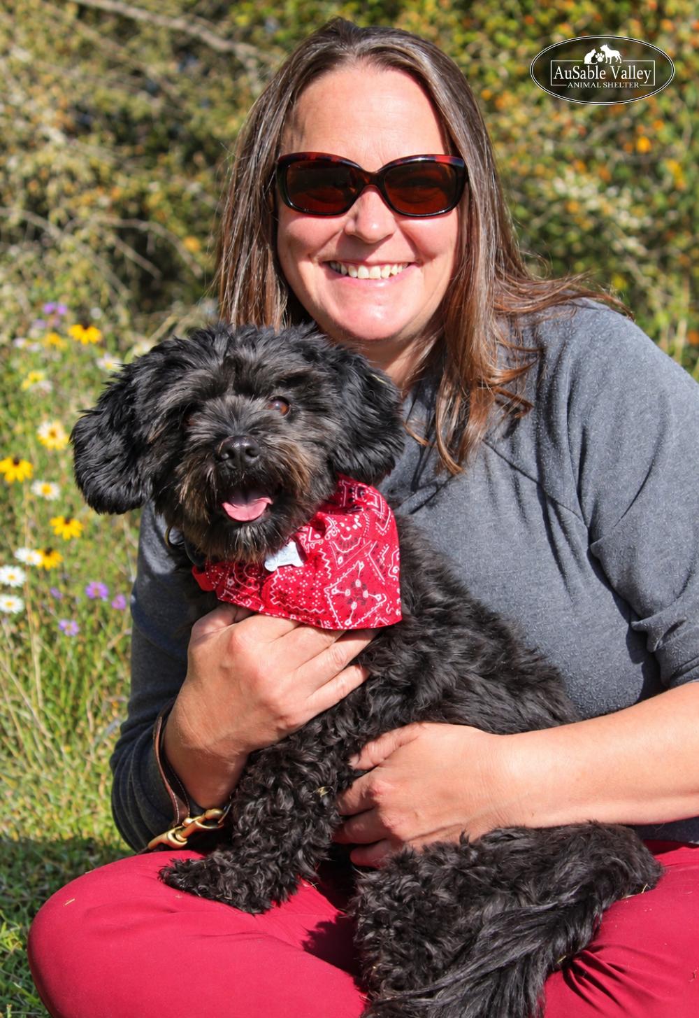 Enlarge Petey, a Adoptable Mixed Breed in Grayling, MI image 6/6