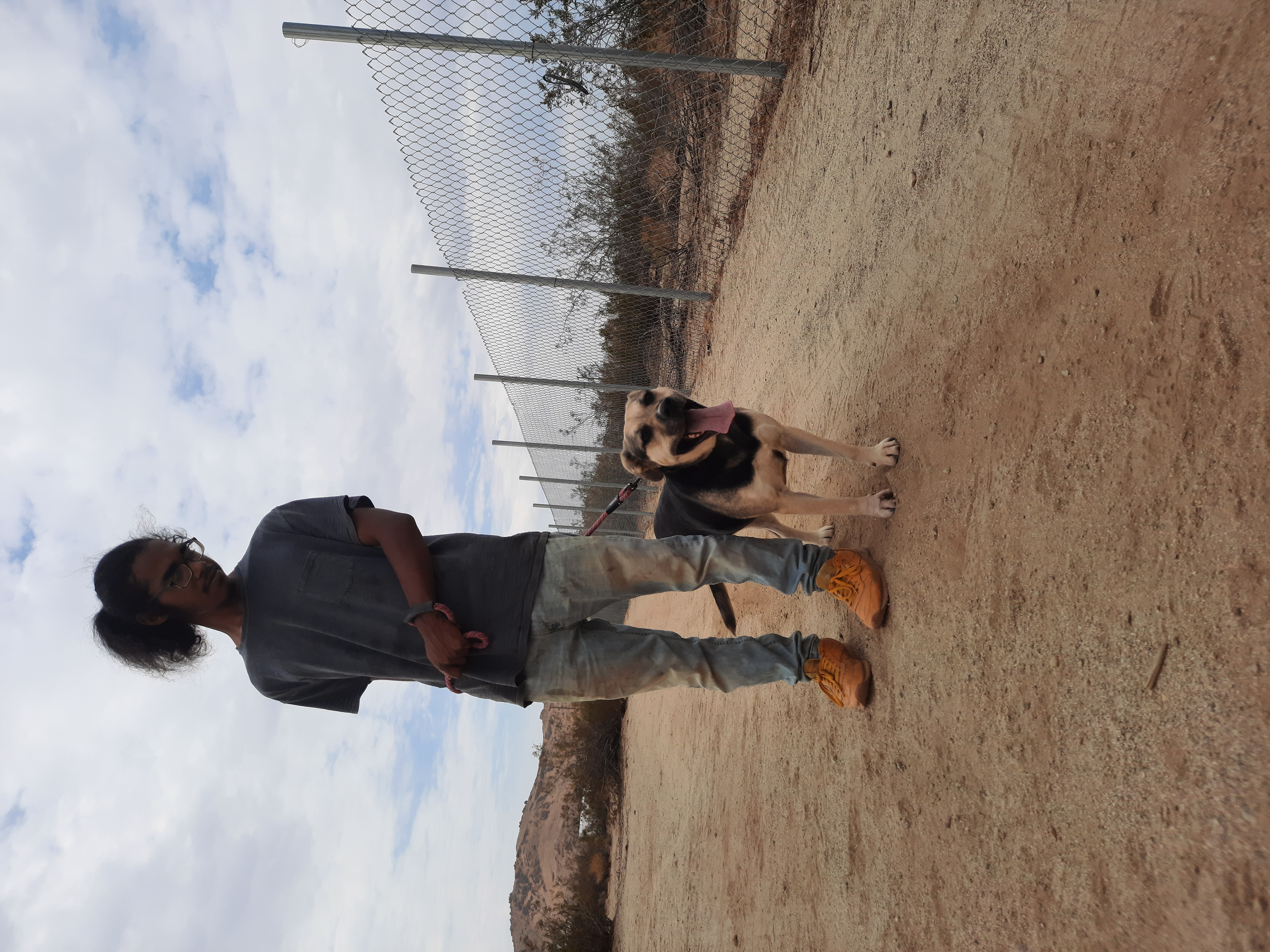 Mia, a Adoptable mixed breed in Mojave, CA image 5/10