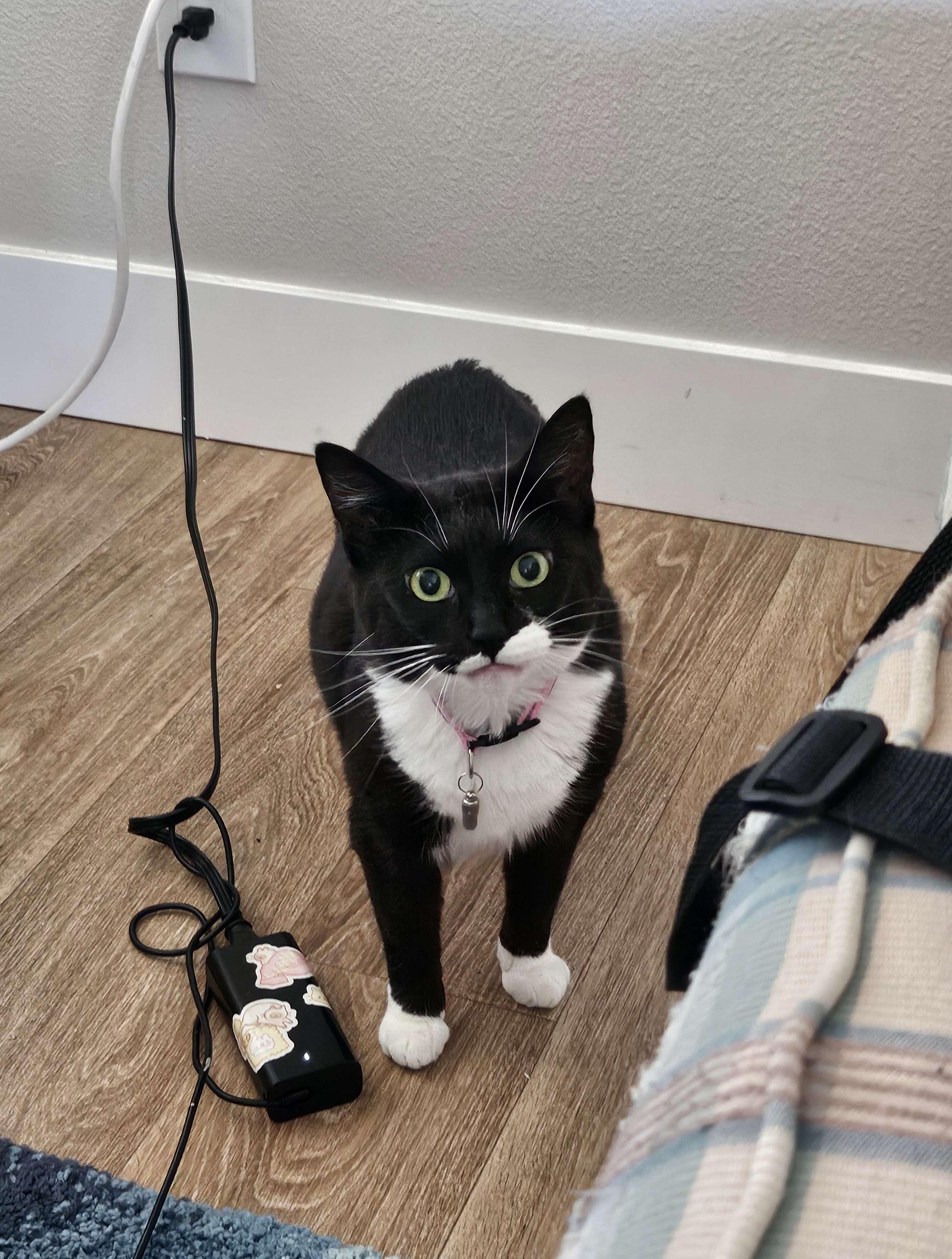Chloe