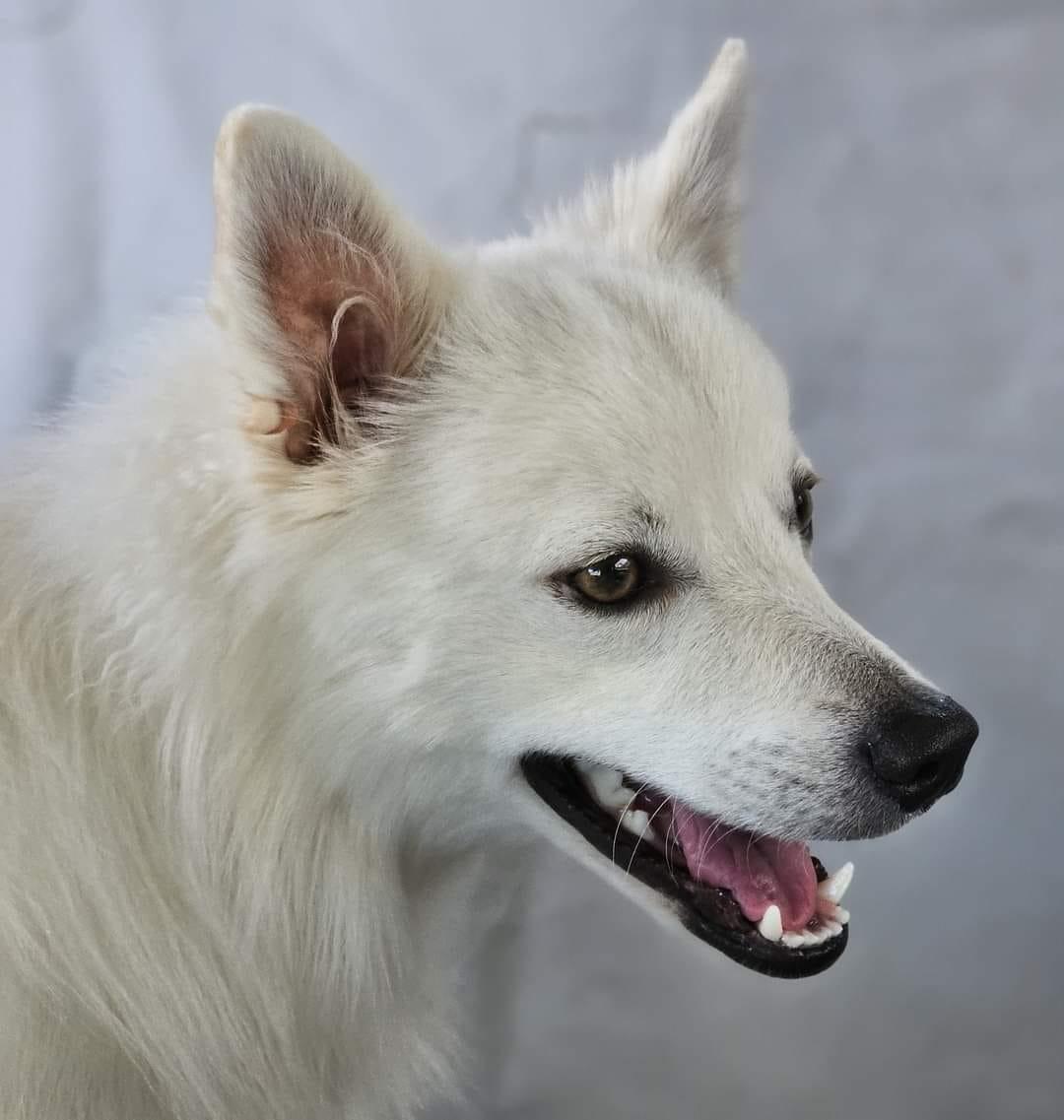 Finnegan Aka Finn thumbnail 3