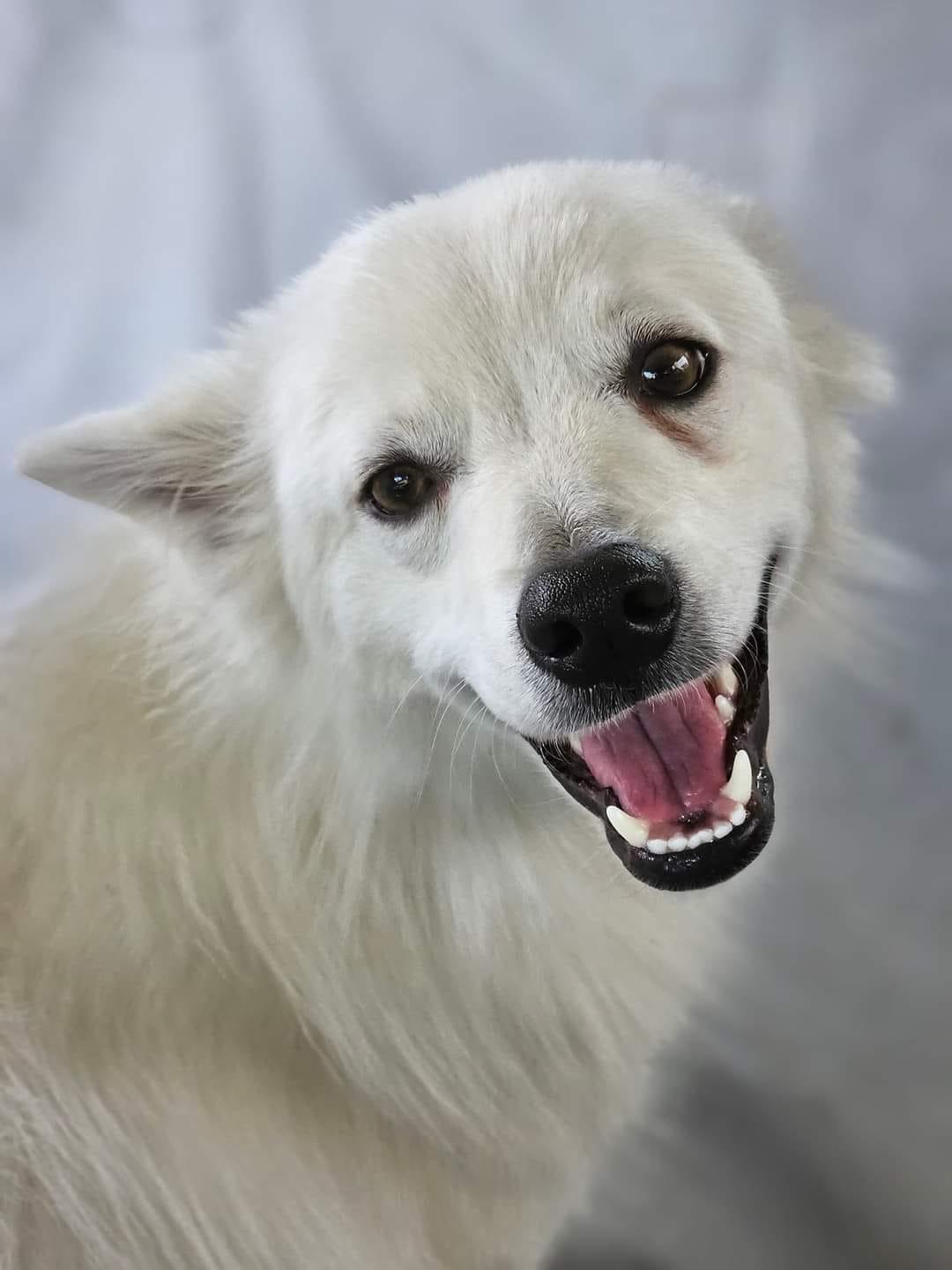 Finnegan aka Finn photo 4