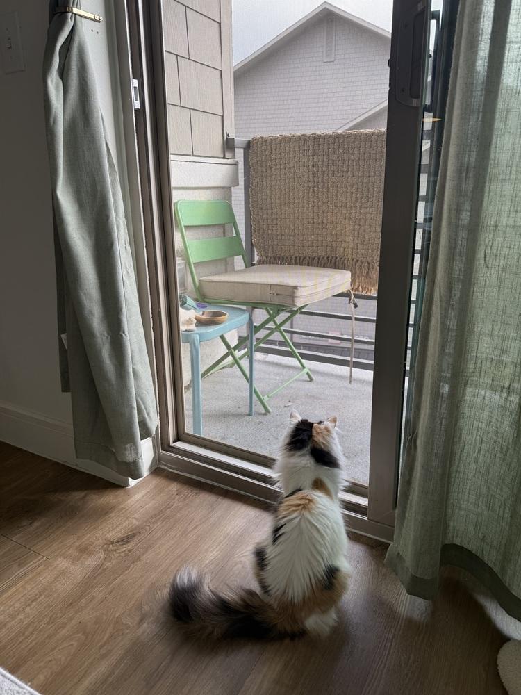 Champagne thumbnail 6