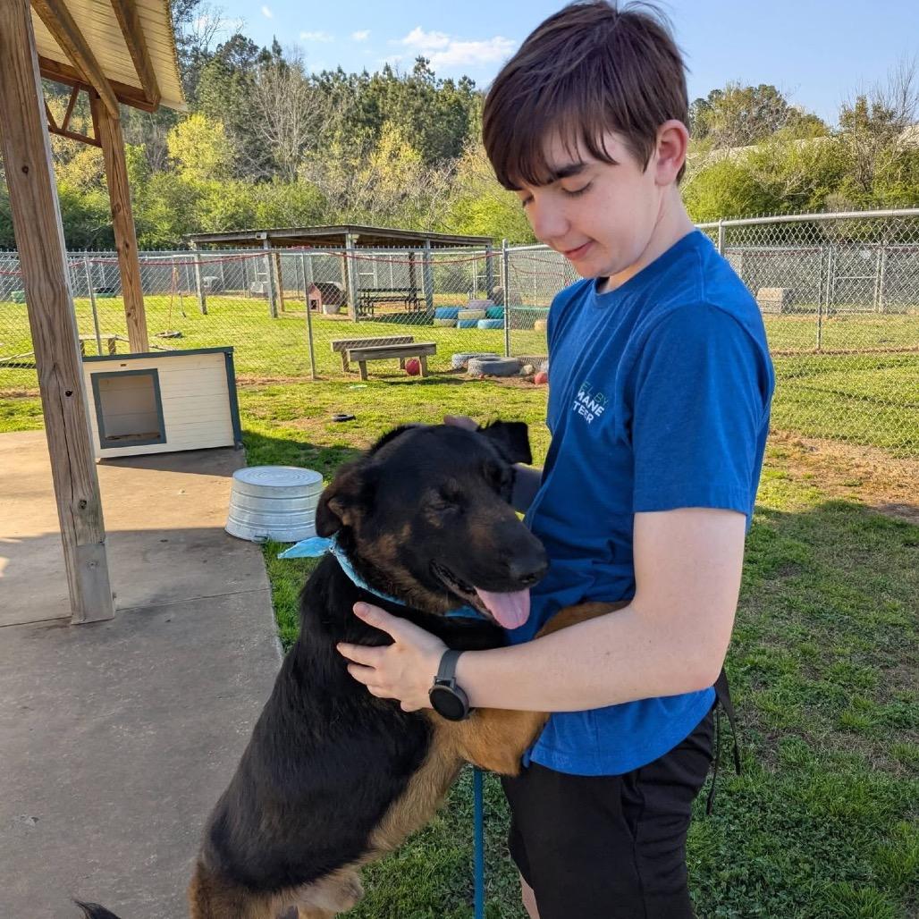Enlarge Emanuel, a Adoptable Mixed Breed in Columbiana, AL image 3/6