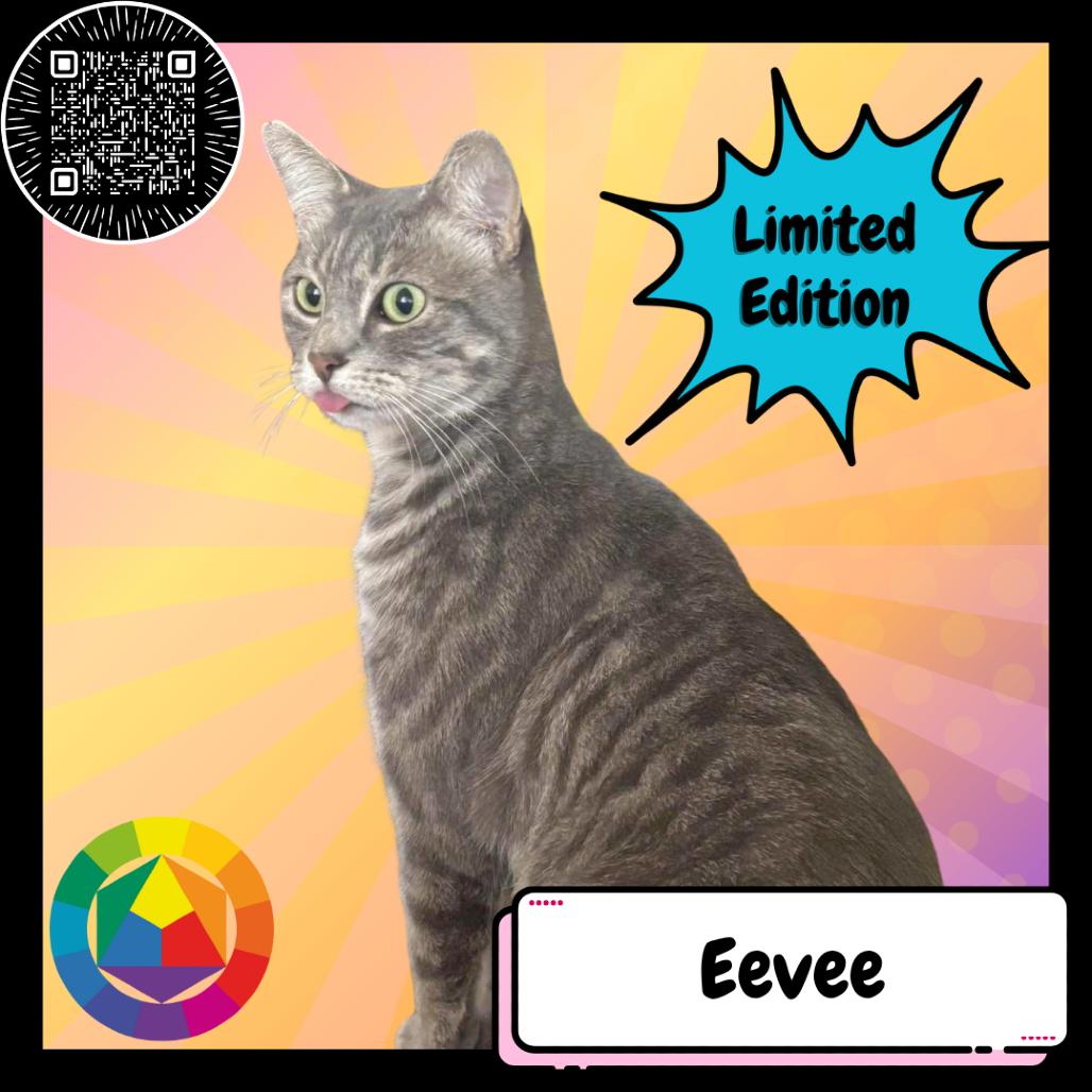 Eevee, a Adoptable Domestic Short Hair in Suisun City, CA image 4/4