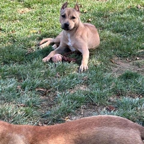 Delta *Courtesy Post*