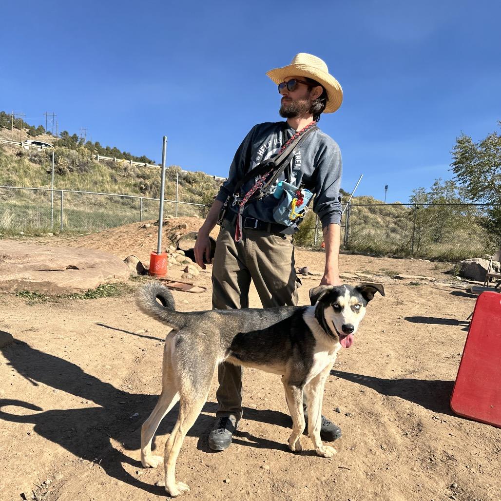 Cookie, a Adoptable mixed breed in Durango, CO image 3/6
