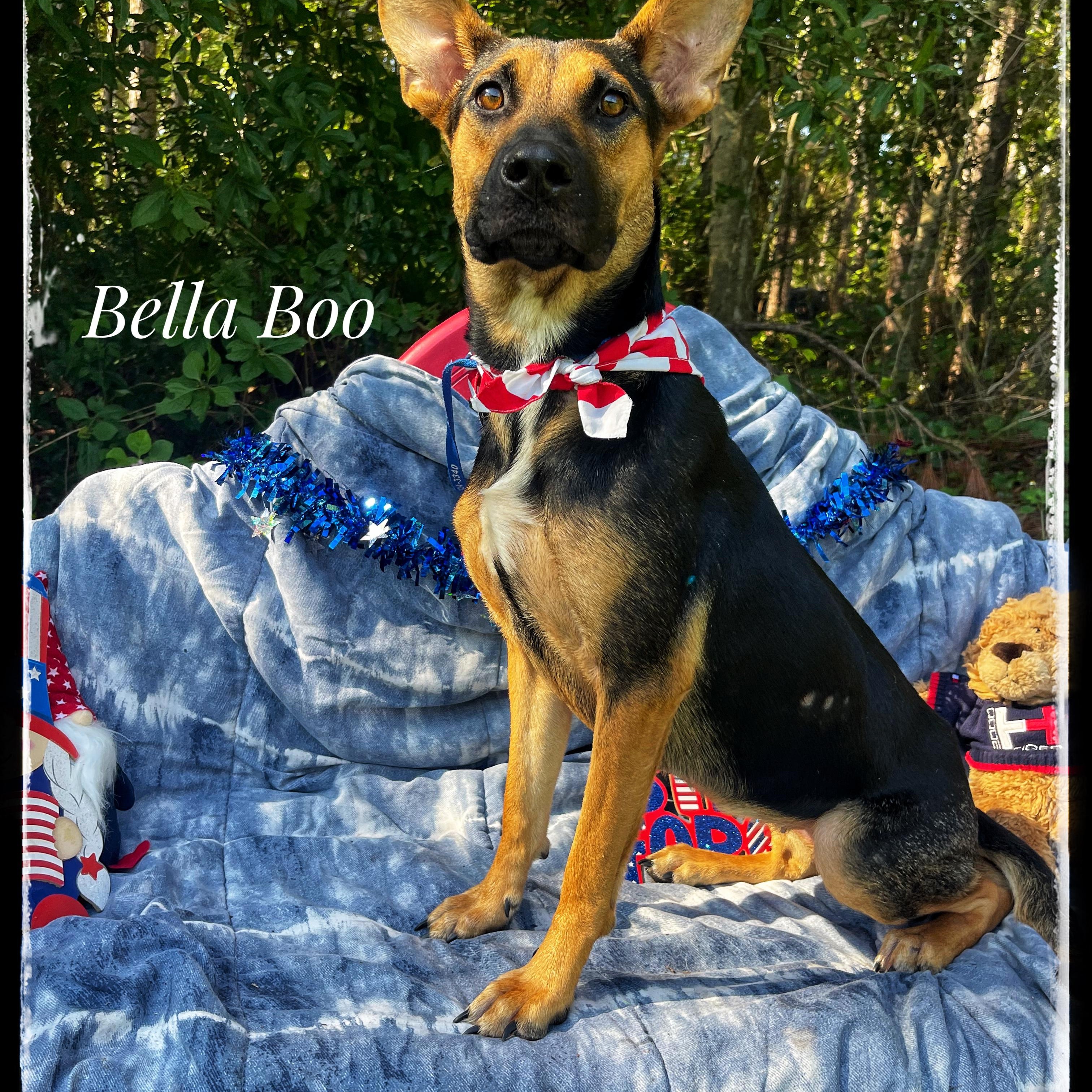Bella Boo
