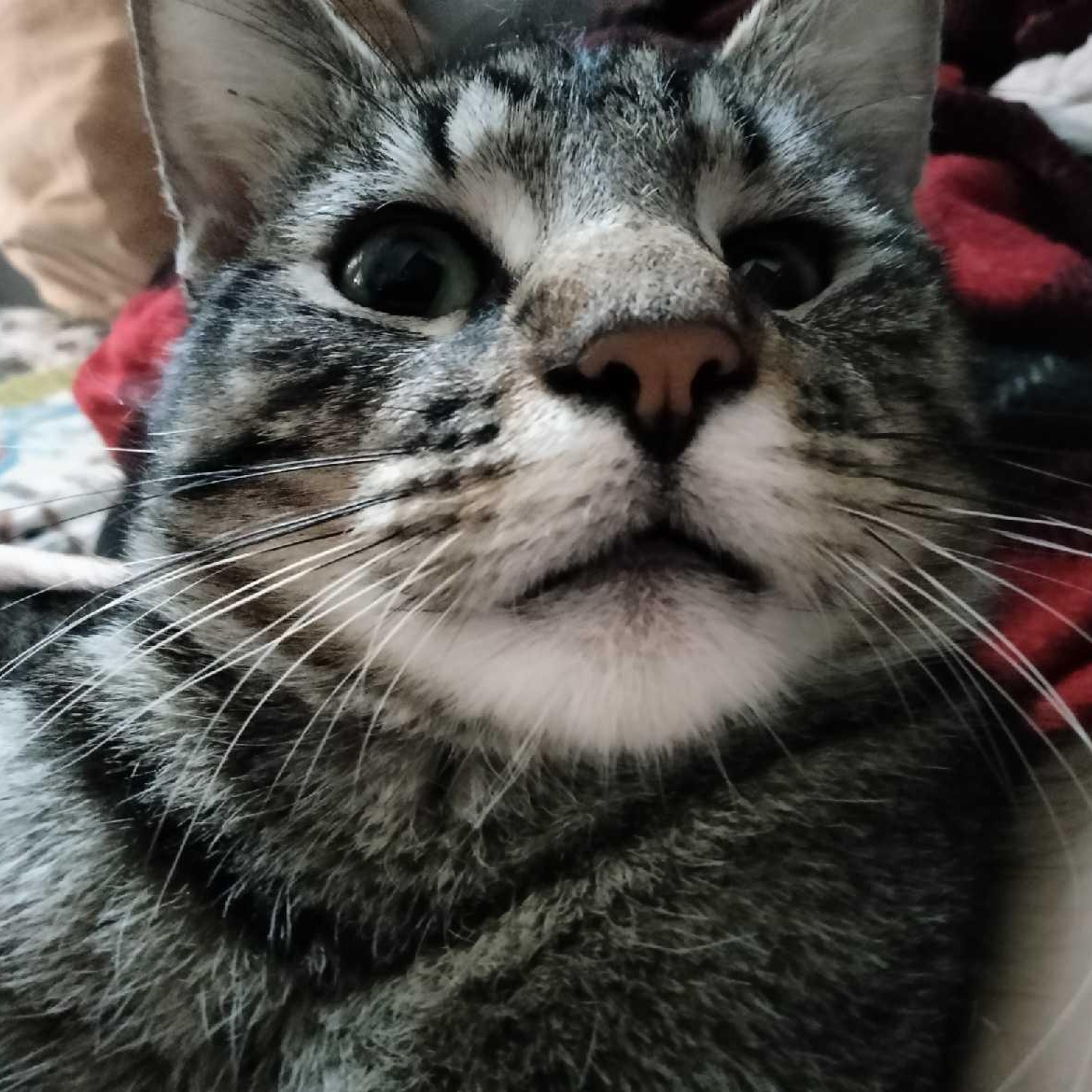 Tootles photo 4