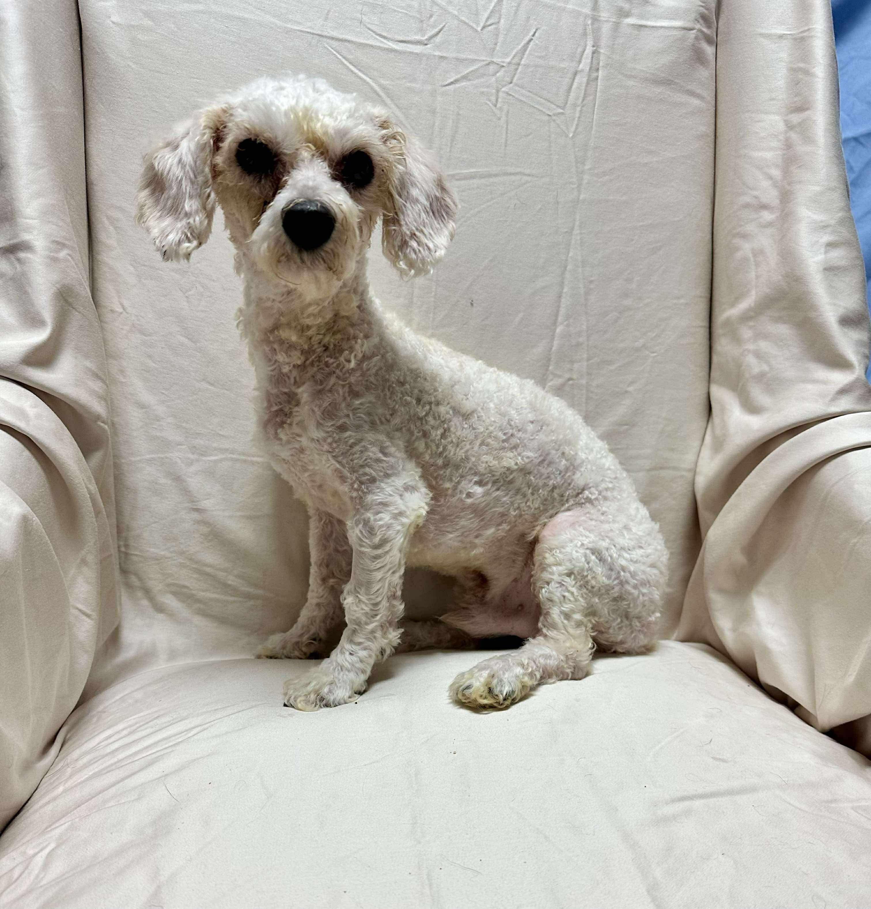 Oscar photo 1