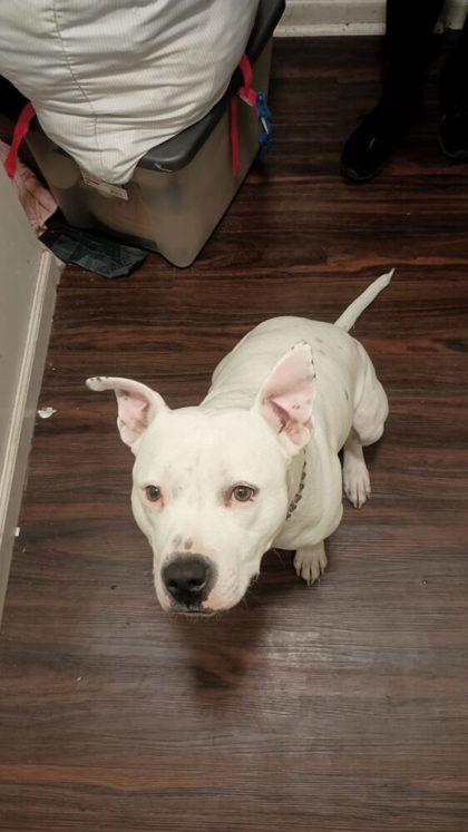 Princess — thumbnail 2