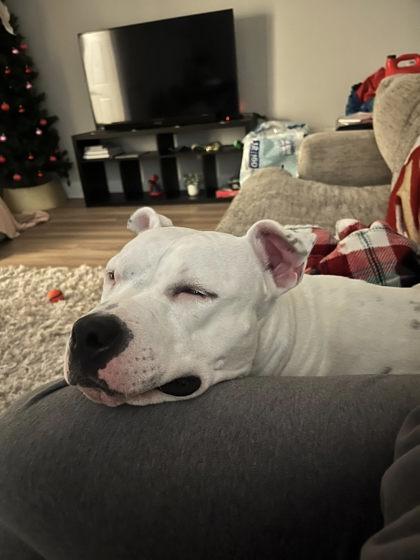 Princess — thumbnail 3