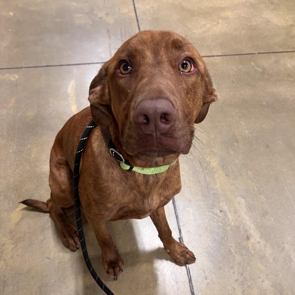 Cash FKA Gear — thumbnail 3