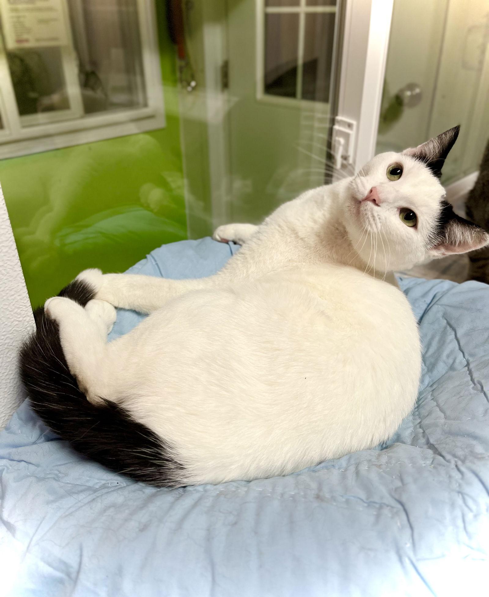 Ezra — thumbnail 2