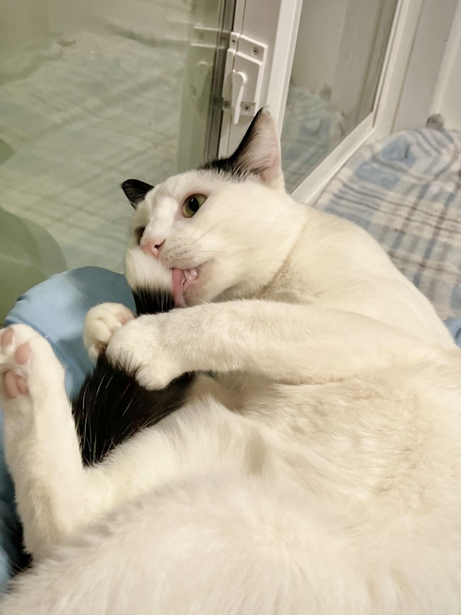 Ezra — thumbnail 3